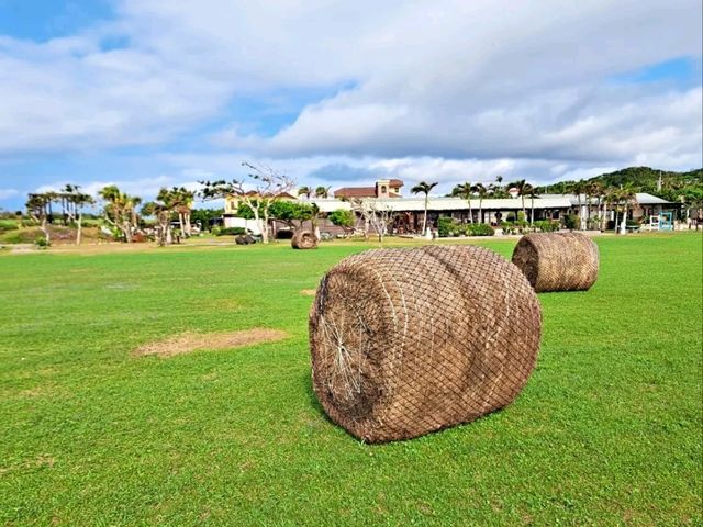 想在墾丁來場南洋風假期嗎？這次住進夢幻的【盤古拉墾丁渡假花園民宿】～一秒飛峇里島不是夢！