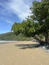 Daintree Rainforest