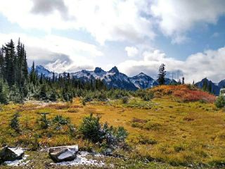 The Mighty Giant of the Northwest: Mount Rainier
