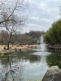 Juknokwon – Bamboo Serenity in Damyang