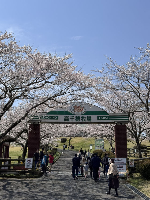 高千穗牧場——九州必訪的治癒系牧場！