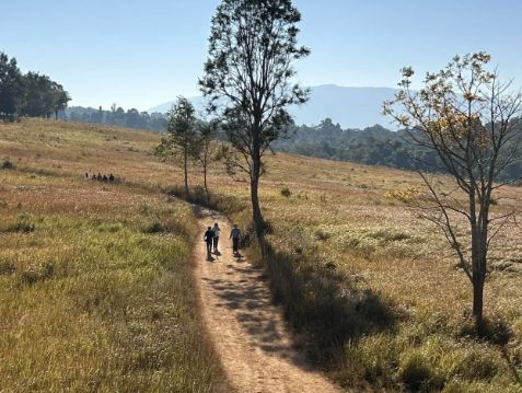 Khao Yai National Park Adventure