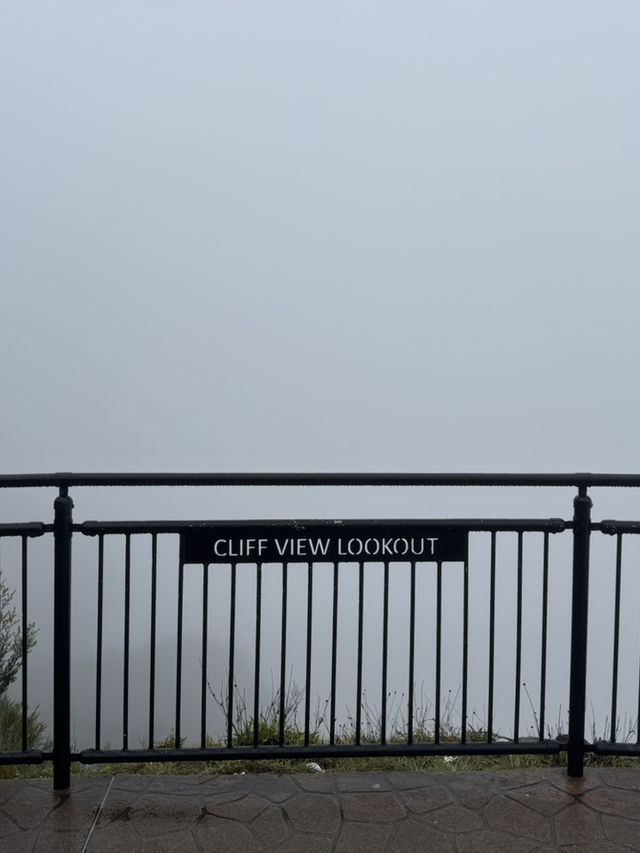 Where? Mist-ified!👻