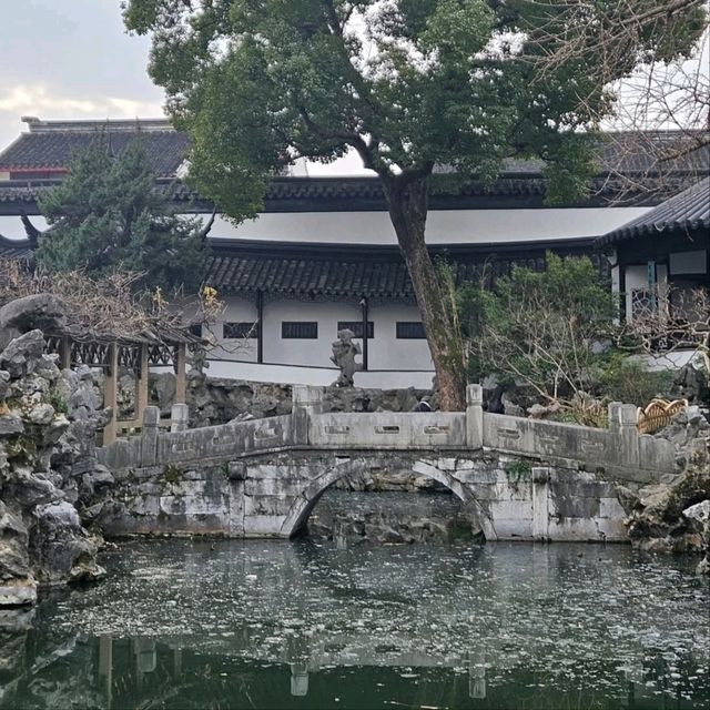 Lion Grove Garden: Rock Maze