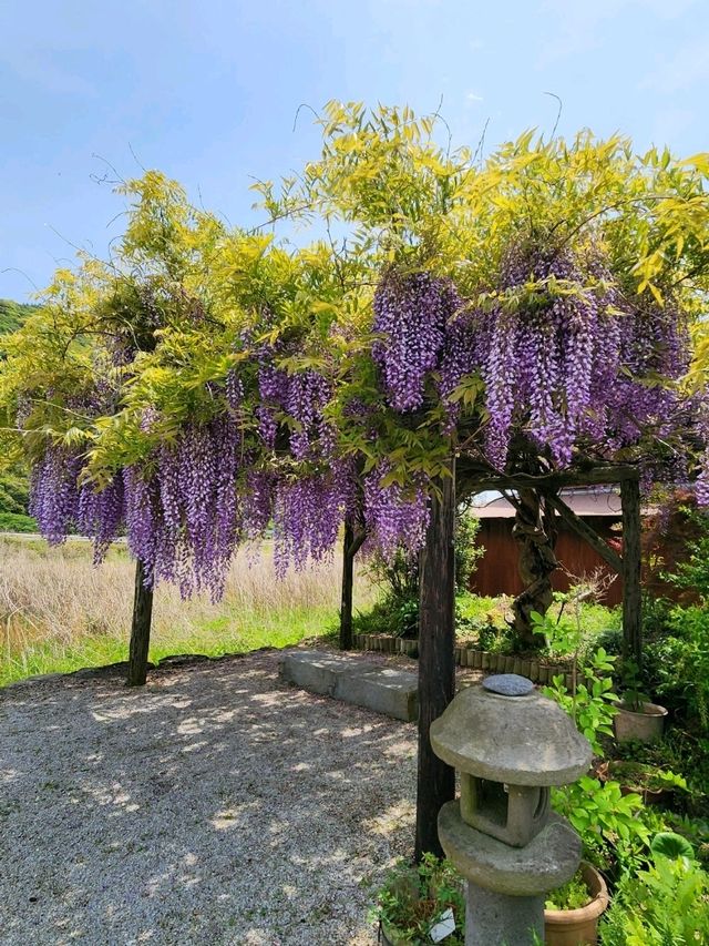 【山口グルメ】美祢市於福･朝日館