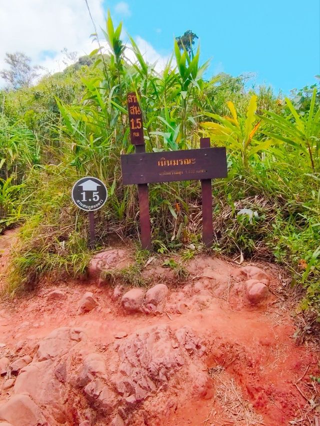 เดินป่าหน้าฝน อุทยานแห่งชาติภูสอยดาว อุตรดิตถ์