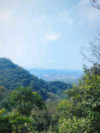 Kadoorie Farm