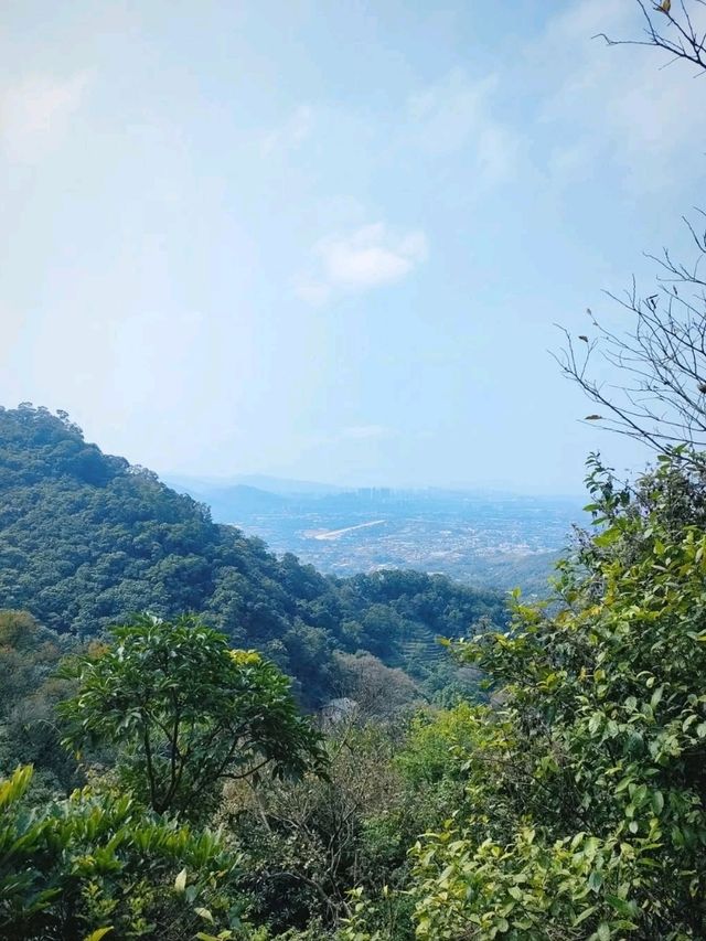 Kadoorie Farm