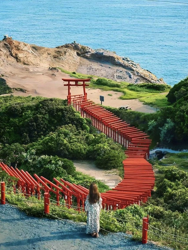 日本別處根本看不到，只有九州才有的奇觀❗️