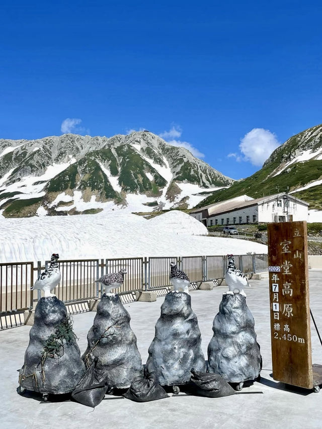An Active Day Exploring Kurobe Dam & Murodo