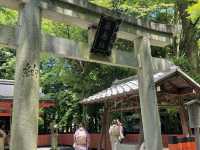 🎐京都親子散策｜穿上和服漫步八坂神社👘⛩️