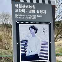 미스터션샤인 촬영지 가자