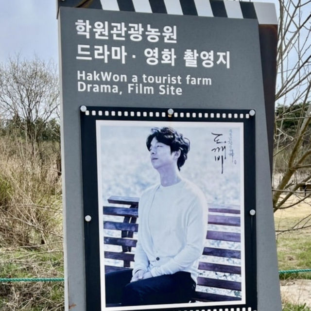 미스터션샤인 촬영지 가자