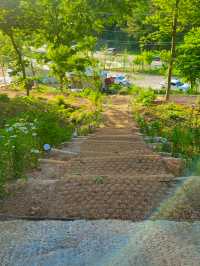 🌳 더숲 밀양, 경남의 숲속 힐링 체험! 