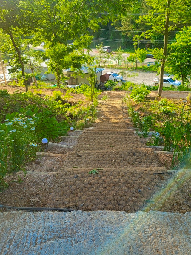 🌳 더숲 밀양, 경남의 숲속 힐링 체험! 