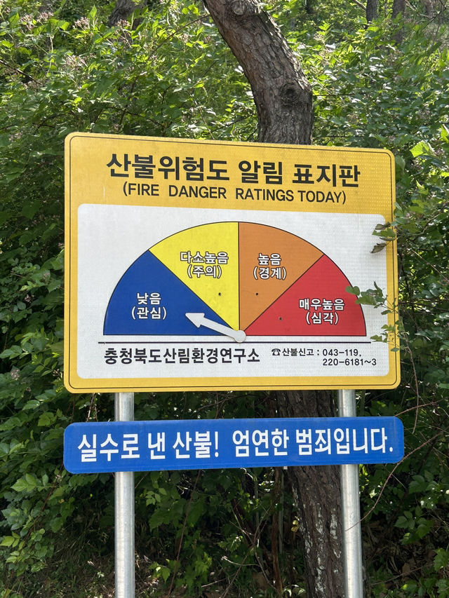 🌲 자연과 함께하는 힐링 교육의 장, 충북 산림환경연구소 (미동산수목원)