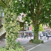 🧭 Underrated Paris Suburb: Discover Pantin — The "Brooklyn of Paris"