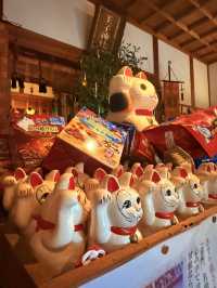 德島｜供奉「貓神」心願達成傳說 德島文化之森裡超隱密景點王子神社