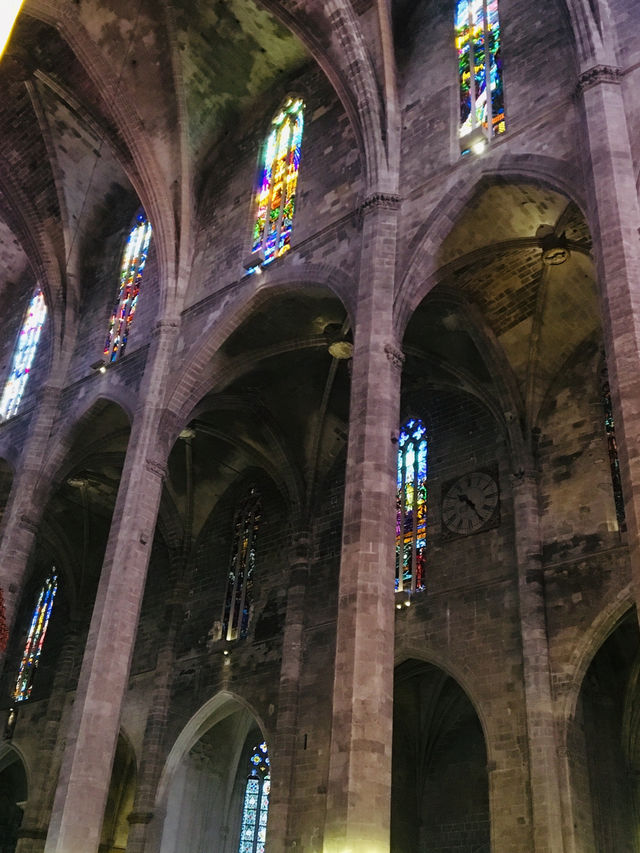 【スペイン】息を呑む美しさパルマ大聖堂⛪️