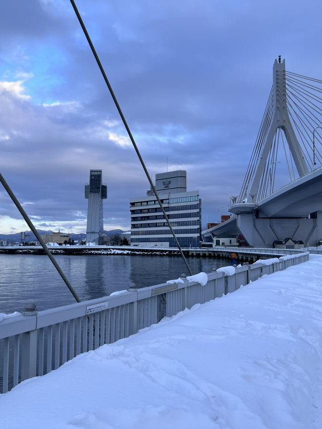 ❄️在雪的盡頭，遇見一顆蘋果 —— 青森冬日散策