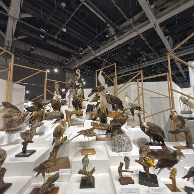 名古屋市科学館の特別展