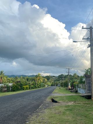 A Relaxing Journey to Paradise Fiji