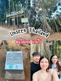 🌳 ต้นไม้ยักษ์ บ้านไร่ อุทัยธานี