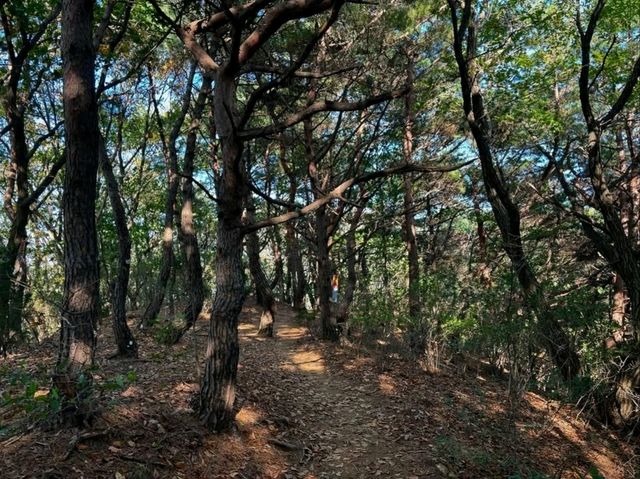 A Mini Adventure Just Outside the City