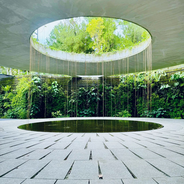 Tranquil Escape: A Zen Stroll Through Japanese Garden Singapore 🇸🇬