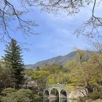 경주 벚꽃, 유채꽃 데이트 🌸💛 
