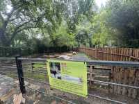 A Great Day at Shanghai Zoo