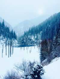 Frozen Dreams: A Winter Escape to Lake Kaindy