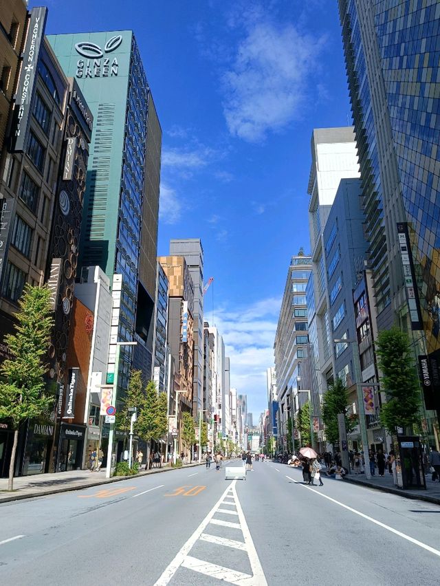 分享❤️東京六天五夜自由行行程！