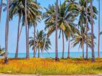 หาดทรายรีสวี: เสน่ห์เรียบง่าย 🏝️