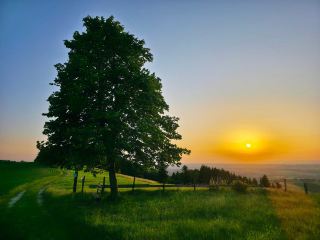 のどかな風景に心癒される、ランデックの小さな旅。自然と人の営みが共にある静かな時間