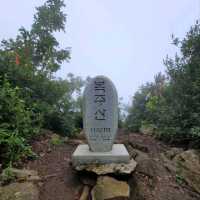 Forest Feels & Quite Trails at Bokjusan 