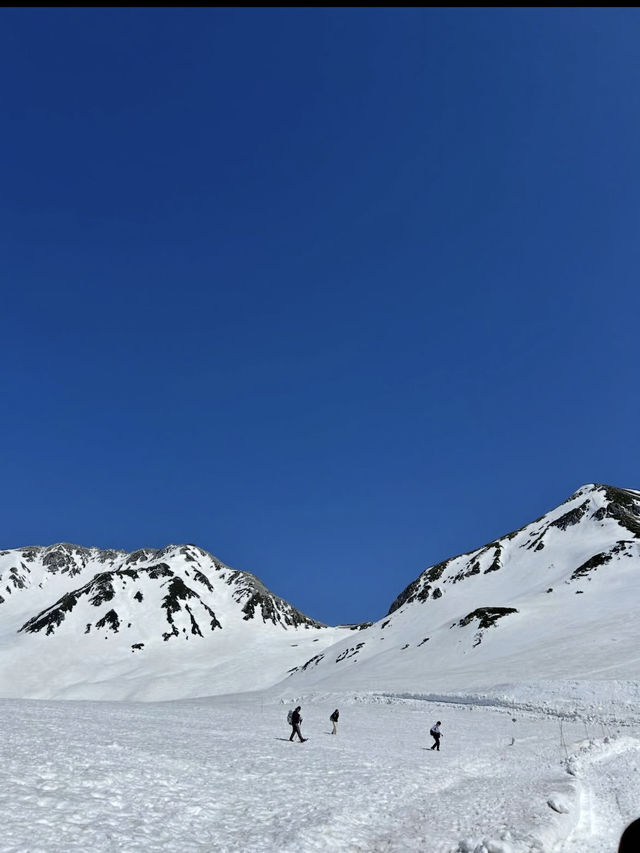 天空の絶景旅🚡 立山黒部アルペンルートで四季を感じる山岳体験