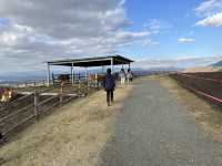 Family Fun and Fresh Milk at Rakunoh Mother’s Aso Milk Bokujo