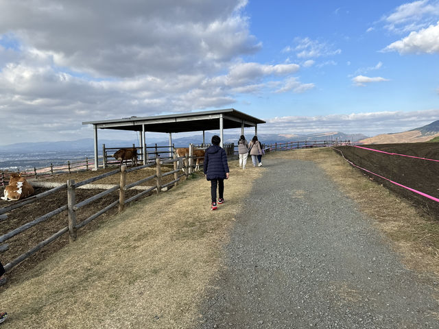 Family Fun and Fresh Milk at Rakunoh Mother’s Aso Milk Bokujo