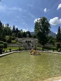 Nice place in the middle of forest 