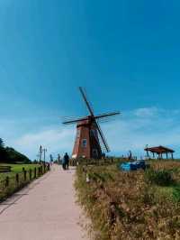 Breezy Bliss and Ocean Feels at Windy Hill