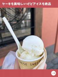 【東京女一人旅】葛飾のパティスリーといえば！絶品アイス＆ケーキのお店