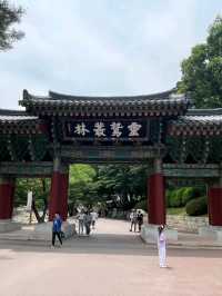 A Peaceful Stroll Through Tongdosa Temple