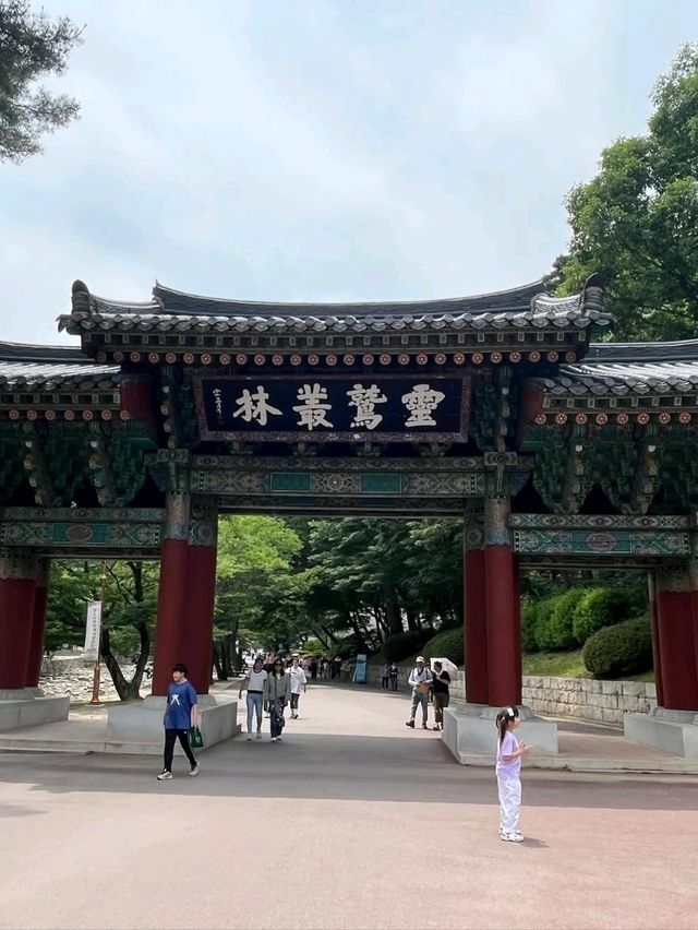 A Peaceful Stroll Through Tongdosa Temple