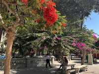 【Huacachina（ワカチナ）｜砂漠の真ん中に湧く神秘のオアシス】
