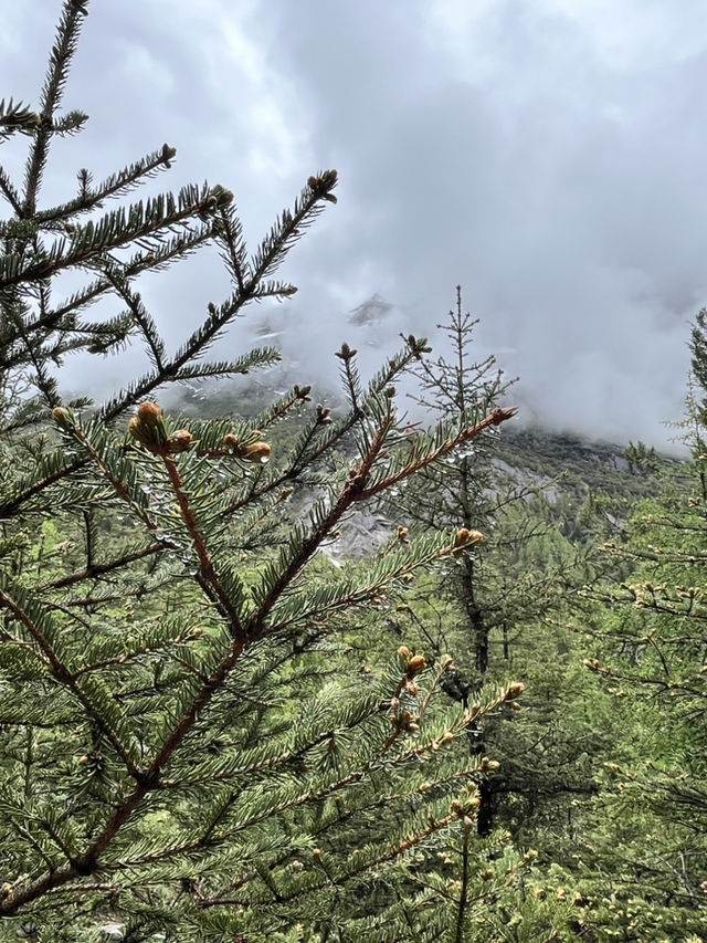 双桥沟 Scenic Escape | The Most Effortless Way to Enjoy 四姑娘山’s 