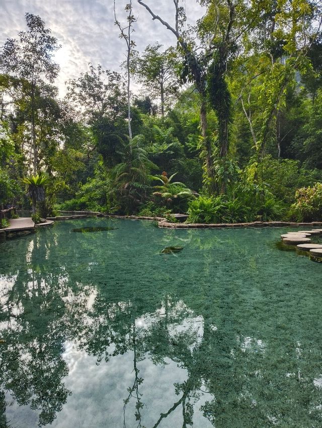 ไปฟังเสียงธรรมชาติที่ป่าต้นน้ำ บ้านน้ำราด กันค่ะ