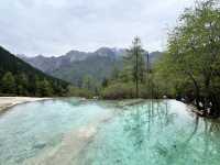🏞️Epic Nature Combo: Huanglong + Jiuzhaigou Summer Adventure