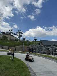 SKYLINE LUGE BEST! 