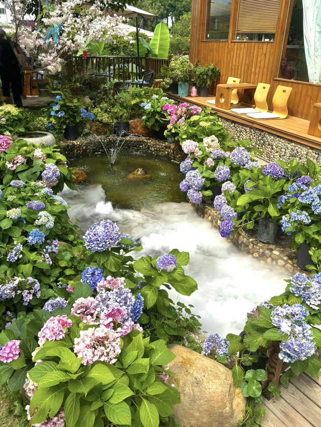 隱藏在村落小巷的人間仙境 💕 被花海包圍的 ! 有風咖啡館